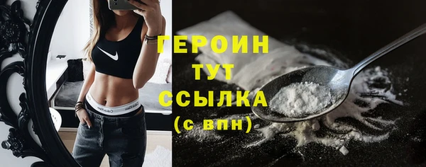 прущий лед Дмитриев