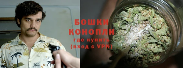 прущий лед Дмитриев