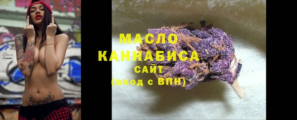 прущий лед Дмитриев