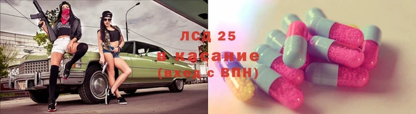 прущий лед Дмитриев
