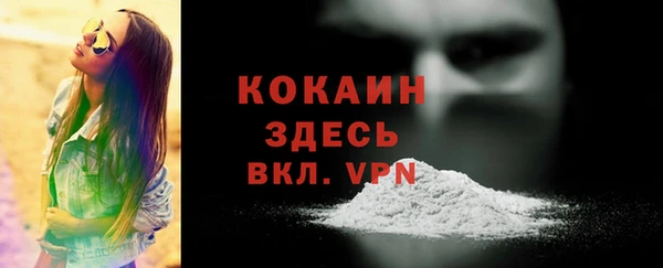 прущий лед Дмитриев