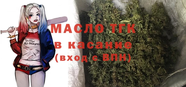 прущий лед Дмитриев