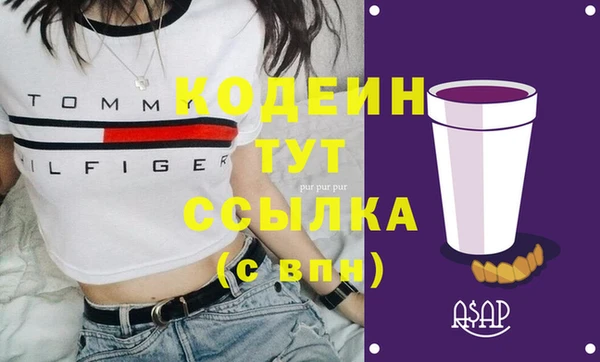 прущий лед Дмитриев